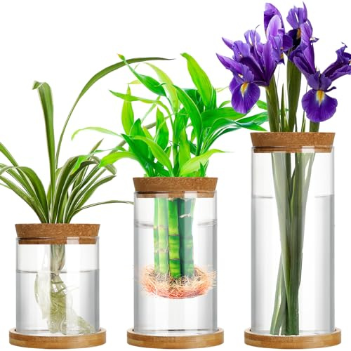 Maxcheck Pflanzen-Anzuchtstation in 3 Größen, getrenntes Glas-Terrarium, Wasser-Hydrokultur-Pflanzgefäßhalter mit Deckel und Holzständer, Anzuchtvase, Topf für Zuhause, Innenbereich, Büro, 3 Stück