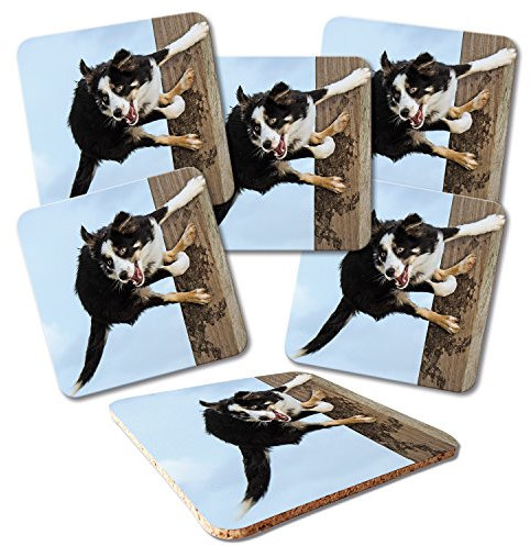 ADDIES Glas-Untersetzer 6-TLG.Set Bedruckt Motiv HUNDE-03 in hochwertiger Klarsicht-Geschenkbox und Korkrückseite, Tier-Motiv