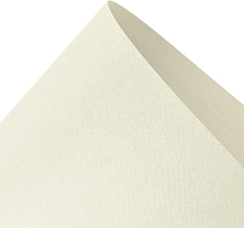 Netuno 10x Bastelkarton Elfenbein DIN A3 29,7x42 cm einseitig strukturiert | 220g Prisma Avorio · dicker cremefarbener Strukturkarton für Menükarten, Scrapbooking, Kartengestaltung & Dekoration