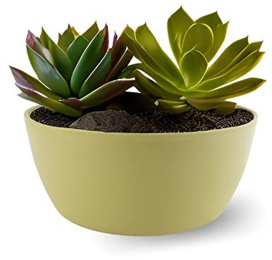 ECOMACETAS FLOWERPOT STORE Maceta Suculentas Grande, Redonda Baja para Plantar Varias Suculentas en una Misma Maceta. De Plástico (1, 25 cm)