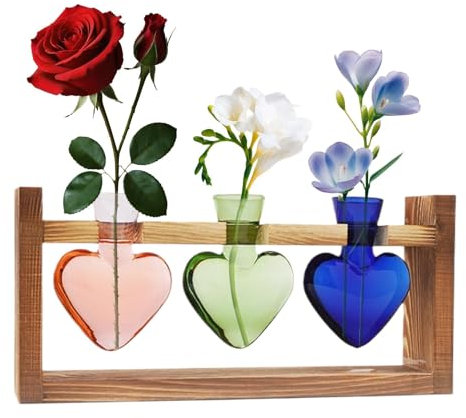 Vaso per piante propagato, terrario in vetro a forma di cuore, vaso da fiori con supporto in legno, fioriera da tavolo per coltura idroponica, decorazione per la casa e il giardino