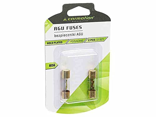 AGU Sicherungen 2 Stück 20A Gold Überzogen Auto Power Schutz Linie Glasrohr Tube Audio Power