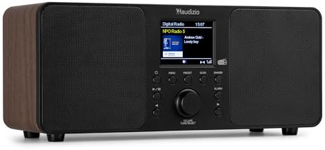 Audizio Genua DAB Radio con Bluetooth - Stereo DAB Plus Radio con telecomando, 60 slot di memoria, Auto Scan, Line-Out, USB, ideale per casa e in viaggio, facile da usare, look legno