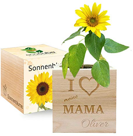 Gravierter EcoCube zum Muttertag (Sonnenblume)