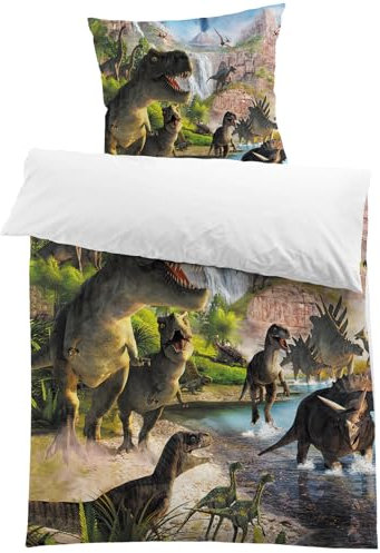 MUSOLEI Dinosaurier Bettwäsche 135x200 Kinder Jurassic World Dino Bettwäsche Jungen Teenager Jugendliche Kinderbettwäsche Mikrofaser 3D-Druck Bettbezug und 1 Kissenbezug 80x80 Geschenk