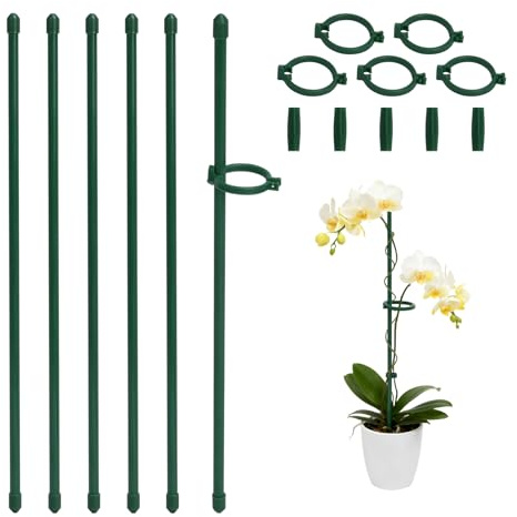 Bamworld Lot de 20 piquets de Support de Plantes de 30 cm à Longueur réglable pour Plantes d'intérieur et d'extérieur