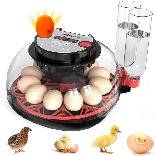 FUNTEN Inkubator Brutmaschine für 12-24 Eier mit automatischer Eierwende, Feuchtigkeitskontrolle und Inkubatoren für Eierkerzen zum Schlüpfen von Eiern