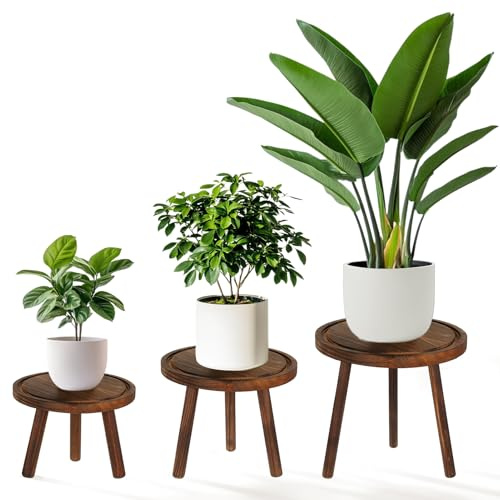 Rainmae Blumenständer 3er Set Ø28/23/20cm | Pflanzenständer Pflanzenregal Holz Rund, Stabil & Dekorativ, Blumenregal für Innen & Außen, Blumentreppe in 3 Größen