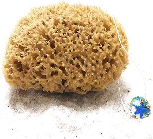 tom&pat Eponge Naturelle de mer avec cordon et pendentif en verre – DERMATEST : TRÈS BIEN, eponge bain, eponge douche corps non blanchie, avec effet peeling, qualité premium de Grèce (15-16 cm)