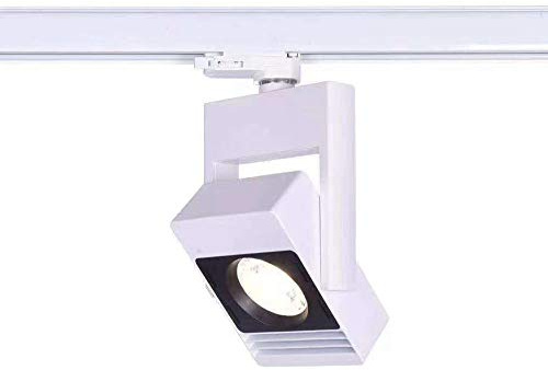 Vetrineinrete® 2 Faro proiettore led cob da binario 30 watt faretto luce bianca 6500k calda 3000k naturale 4000k illuminazione vetrine orientabile da soffitto (Luce Naturale 4000k)