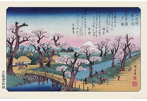 Pyramid Hiroshige Mount Fuji Koganei Bridge Unisexe Poster Multicolore Papier