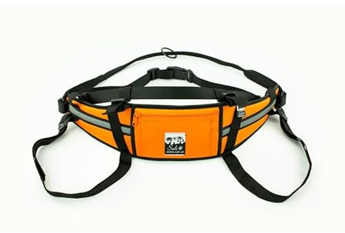 Sali Kuristo Belt Orange Hüftgürtel Canicross Skijöring Dogtrekking (S/M)