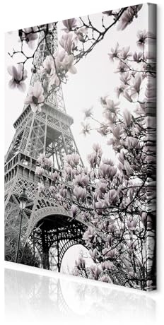 decomonkey Wandbilder Eiffelturm 40x60 cm 1 Teilig Leinwandbilder Wanddeko | Strukturleinwand, Holzkeilrahmen, Bild auf Leinwand, Kunstdruck, Wohnzimmer, Wanddekoration, Paris, Magnolie, Blumen