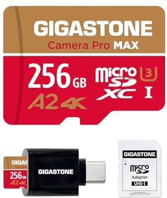 [5 Jahre kostenlose Datenrettung] GIGASTONE 256GB Micro-SD-Karte mit USB 3.2 Typ C Kartenleser, 4K Camera Pro MAX, bis zu 170/140 MB/s, A2 V30 MicroSDXC Speicherkarte für GoPro, 4K UHD Video