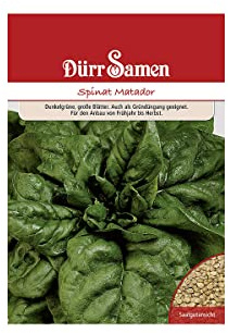 Dürr-Samen - Gründüngung Spinat Matador 250 g Saatgut