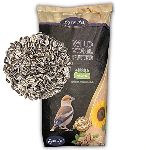 Lyra Pet® | 25 kg Sonnenblumenkerne Gestreift | Neue Ernte | Ganzjahres Vogelfutter für Wildvögel l Kräftige Schnäbel durch Harte Schalen | Optimale Energie & Nährstoffe | Ideal für Vogelhäuser