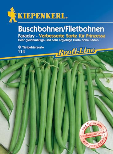 Kiepenkerl Profi-Line Buschbohnensamen Faraday 114 - Filetbohnen - gleichmäßige und ergiebige Sorte - Inhalt für 6-8 M - Samen Gemüse, Gemüsesamen, Saatgut