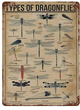 Wanddekoration mit Biene auf Notenblättern, Geschenk für Frau, Biene, Vintage- und Garagen-Dekoration, Männerhöhle, Blech- und Wandkunst, Metall, Gartenposter, Garten, Zuhause, Küche, Bauernhaus, Part