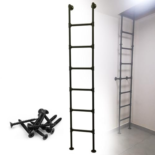 AYVADA 100–300 cm Metall-Notausstiegsleiter für Fensterschacht, robuste Sicherheitskletterleiter für Dachboden, LKW, Boot, universelle gerade Leiter für Dachboden, Wohnheim, Bibliothek, Etagenbett,
