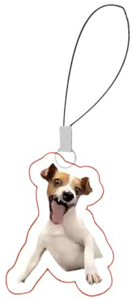 Lustiger Handy-Anhänger | Handy-Schlüsselband, Acryl-Schlüsselanhänger, Katze, Hund, Emoticon, Handygurt für Teenager, Kinder, Rucksack, Refer to description, Acryl, Unisex