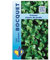 Sachet de graines de Cresson vivace de jardin - 5 g - légume feuille - LES GRAINES BOCQUET