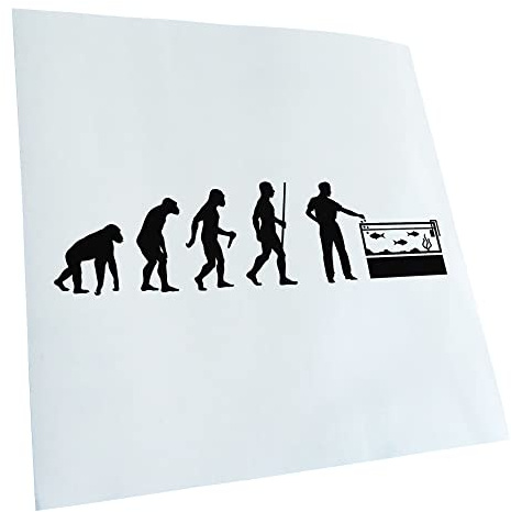 Kiwistar - Autocollant - évolution pour aquaristik poissons - noir - G30 - Pour voitures, vélos, véhicules, motos, cyclomoteurs, tuning, vitres arrière