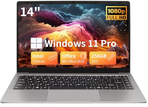 BINTEC 14 Inch Thin and Light Ultrabook Laptop(Only 1.25kg), Celeron N4100 DDR4,1920 x 1080 IPS, Win 11 Pro/Office 2019 High Performance Beginners Notebook PC,2×USB 3.0,Mini HDMI (Gray, 8G+256G)