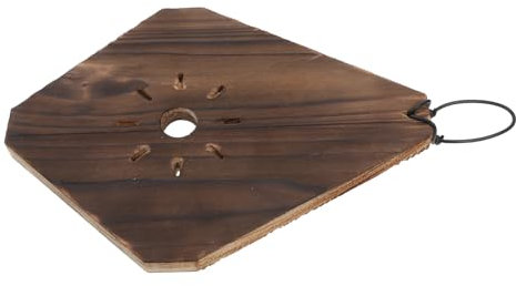 BESTonZON Jardinière Murale Suspendue Panneau De Jardin Vertical pour Orchidées Platycerium Support Mural pour Plantes