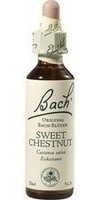 Sweet Chestnut - Gotas de agua para baño (20 ml)