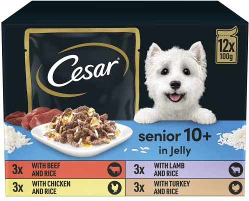 CESAR Senior 10+ Deliciously Fresh Wet Dog Food Pouches Aged Dogs, Mixed Selection in Jelly, Suitable for Senior Dogs Aged 10+, Pack of 4 (4 x 12 Pouches x 100 g)