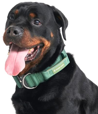 Spark Paws Taktisches Hundehalsband – Robuste, Premium-Qualität, Dick und Langlebig für Große und Mittelgroße Hunde - Army Green - L, 5cm