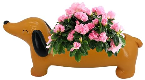 Dackel-Übertopf, kleine Sukkulenten-Töpfe, Niedliche Dackel-Pflanzgefäße für Zimmerpflanzen, Pflanzgefäße mit Hundemotiv, Cartoon-Tier-Blumentöpfe, Bonsai-Harz, Gartendekoration für Zuhause, Café, Sch