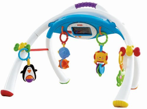 Fisher-Price Mattel Y4476 Apptivity Gym