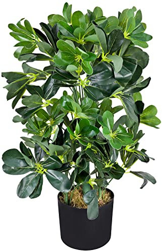 Decovego Schefflera Aralie Strahlenaralie Arboricola Kunstpflanze Kunstbaum Künstliche Pflanze 60 cm Innendekoration Kunst Pflanze wie echt im Topf