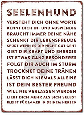Interluxe Wandschild Metallschild - Seelenhund - 300x220mm Schild als Geschenk für Menschen mit Hund