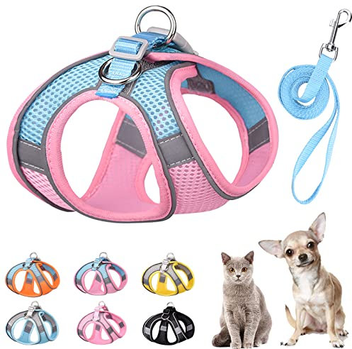PETPUBGNZS Weiches kleines Hundegeschirr und Leine, Set, Step-in-Air-Mesh, Welpengeschirr, Leine, einfaches Spazierengehen, Hundegeschirr, Weste, verstellbar, reflektierend, kein Ziehen, Blau, XS)