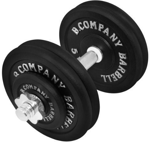 Guss Kurzhantel-Set 25Kg (1 x Kurzhantelstange 35cm, 2x1,25 und 4x5Kg Hantelscheiben) Hantelset Hanteln Gewichte