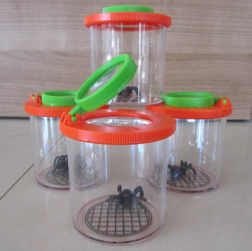 Lupe Becherlupe Lupenbecher Lupendose Maxi 11 Stück Hohe Qualität 150006-11