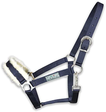Horses, Halfter Winry mit Fell, Komfortables Halfter zum Führen des Pferdes an der Hand oder zum Sichern beim Putzen, Satteln oder Transportieren (Cob, Blau)