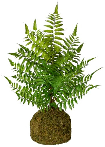 Briful Kunstfarn Kunstpflanze Wie Echt Künstlicher Farnbusch auf Wurzelballen, Höhe 47 cm, Zimmerpflanze Pflanze Grünpflanze Dekofarn Strauch Dekopflanze