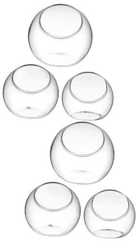 HAKIDZEL Lot De 2 Pots Décoratifs pour Terrarium Vases Pots De Fleurs Bols en Verre pour La Maison Et Le Bureau 3 Pièces X 2