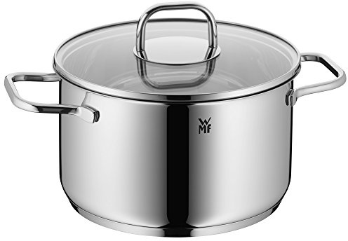 WMF Inspiration Kochtopf groß 20cm, Glasdeckel, Fleischtopf Induktion 3,3l, Cromargan Edelstahl poliert, unbeschichtet