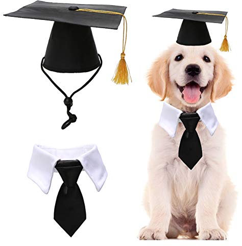 Lamphyface Haustier-Abschlusskappe mit Fliege, Kragen für Hunde und Katzen, Hat+Necktie