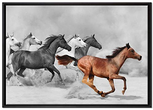 Pixxprint Mustangs in der Wüste Leinwandbild 100x70 cm im Bilderahmen, Wandbild, Schattenfugenrahmen, Kein Poster