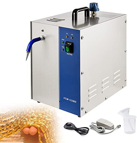 BEESOM 1300W/2200W Máquina De Limpieza a Vapor, Limpiador De Joyas De Vapor Profesional, Limpiador De Joyas De Vapor Eléctrico, Lavadora De Joyas De Acero Inoxidable,4L2200W