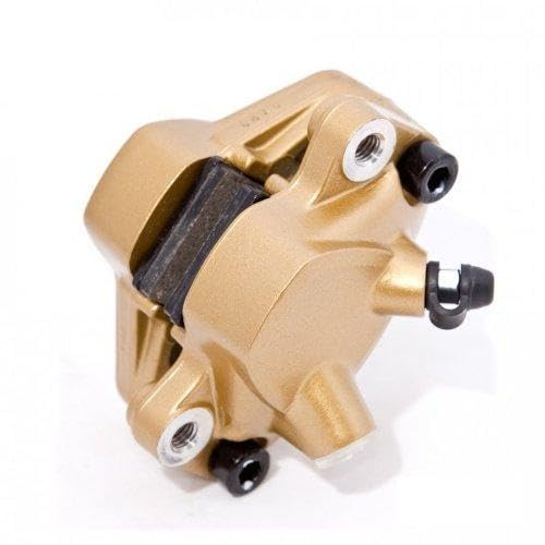 Pinza freno/Pinza freno per Piaggio/Gilera posteriori (originale Piaggio)