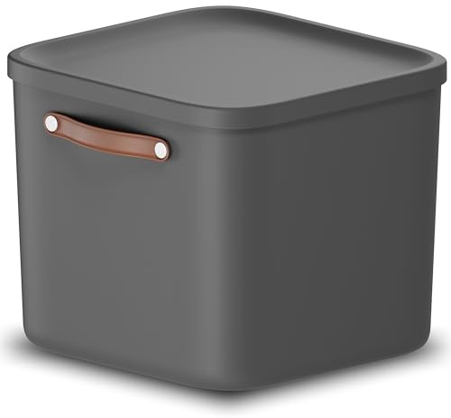 Rotho Maloja große Aufbewahrungsbox mit Deckel 40 L stapelbar Kunststoff | Maße 39,5 x 38 x 34 cm, Trageriemen zum Umstellen, für Küche, Bad und Kinderzimmer, platzsparend stapelbar, mit 40 L Volumen