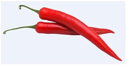 Pcs - 10x Poivre Espagnol Cayenne Westlandia Eko Jardin Plantes - Graines KS255 - Seeds & Plants Shop by Ipsa