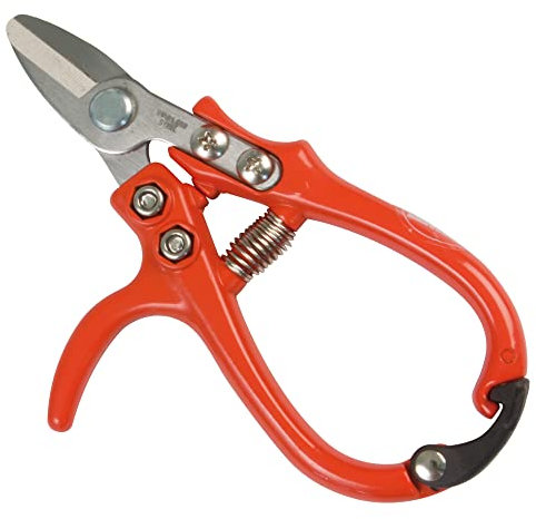 Amig - Pinza di Raccolta a una Mano | Speciale per Agrumi | Lama Dritta in Acciaio | 160 mm | Manico Ergonomico in Alluminio | Punta Curva per Raccogliere la Frutta Senza Danneggiarla