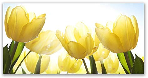 Tulup Acrylic Glass Print 120x60cm Wall Art - Wall Picture Plastic Acrylic Glass - Tulips Floral